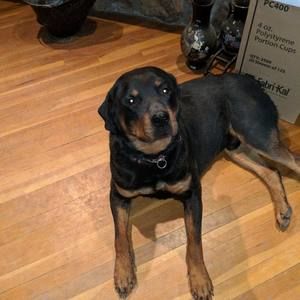 Meet your Posher, Vickie